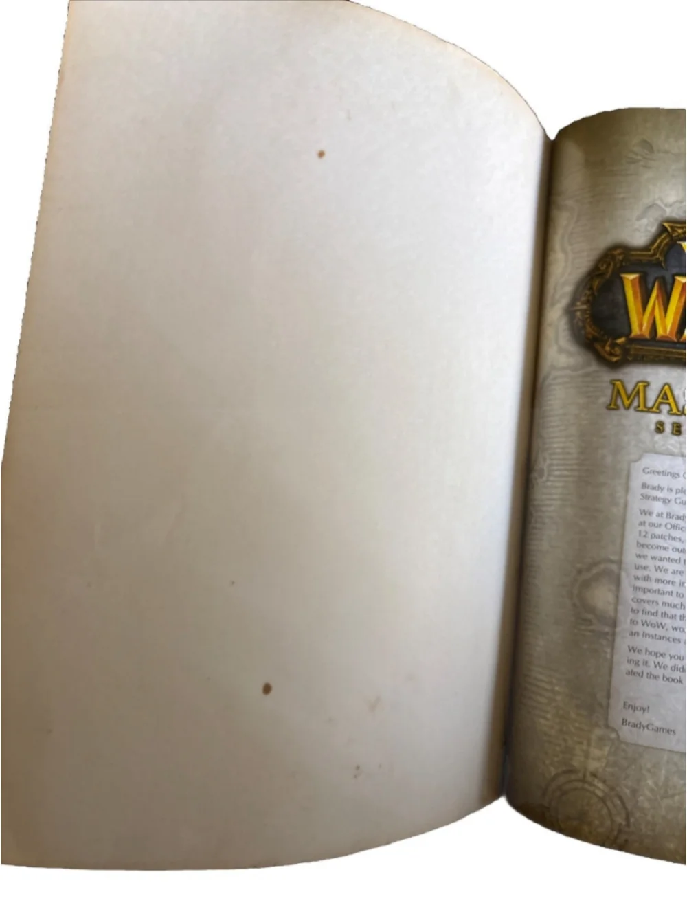 World of Warcraft Master Guide Second Edition BradyGames Official Strategy WoW